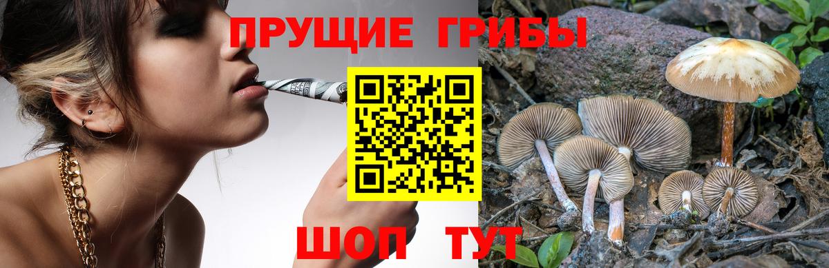 Сосновоборск  что такое наркотик  Вход с VPN  Псилоцибиновые грибы прущие грибы 